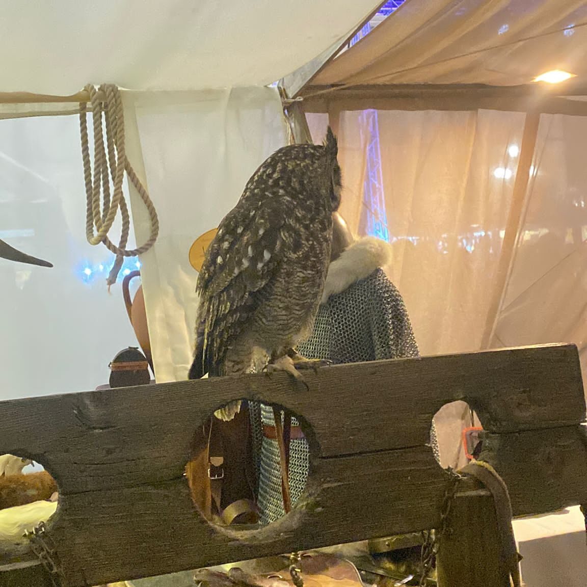 Day Zero Etna Comics 2026 sotto la pioggia in piazza Università a Catania